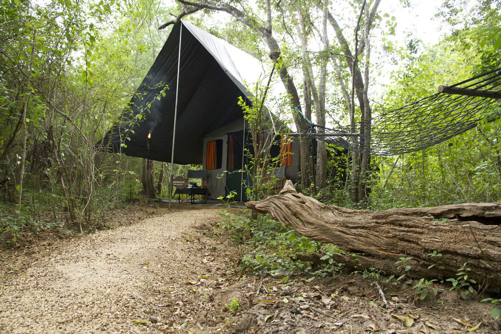 Mahoora Udawalawe - By Eco Team Hotell Exteriör bild